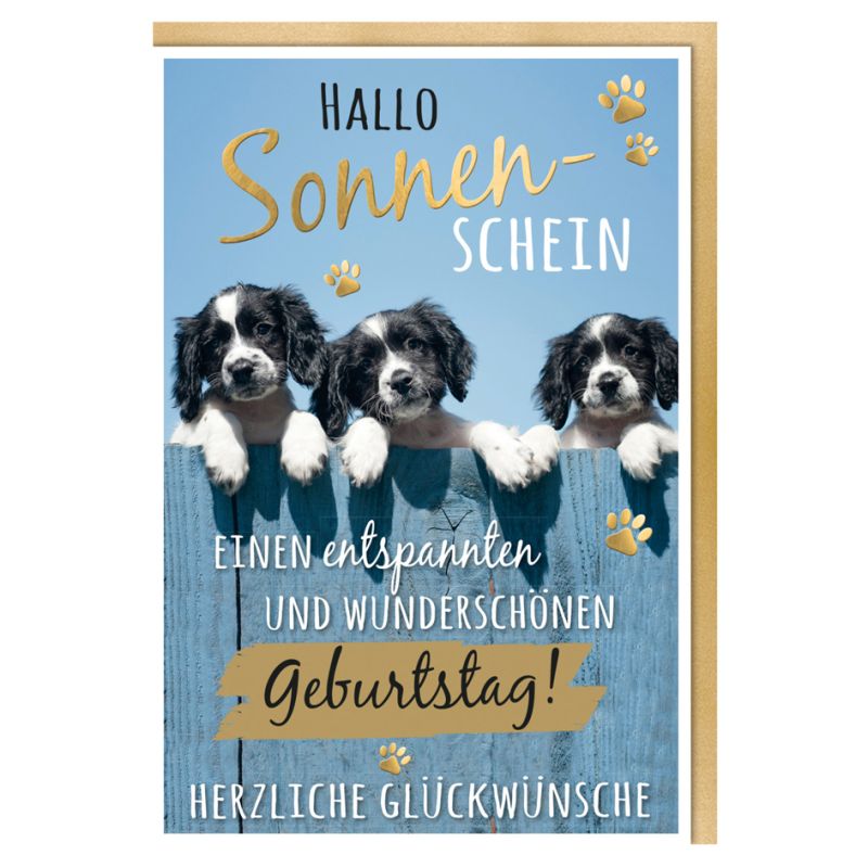 SUSY CARD Geburtstagskarte - Humor Mischlingshunde