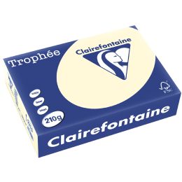 Clairefontaine Multifunktionspapier Trophe, A4, stahlgrau