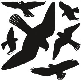 HERMA Etiketten Warnvögel, Folie, wetterfest, schwarz