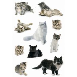 HERMA Sticker DECOR Katzenfotos