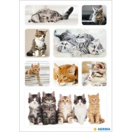 HERMA Sticker DECOR Katzenfotos