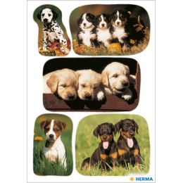 HERMA Sticker DECOR Hundewelpen