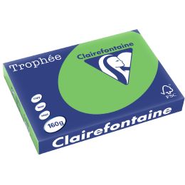 Clairefontaine Multifunktionspapier Trophe, A3, stahlgrau