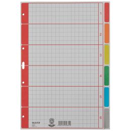 LEITZ Karton-Register extrastark, blanko, A4, 10-teilig