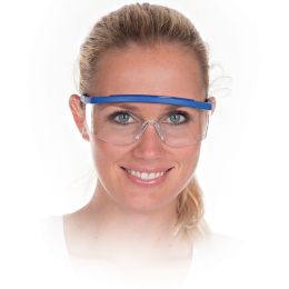 HYGOSTAR Allzweck-Schutzbrille BLAU, Scheibentnung: klar