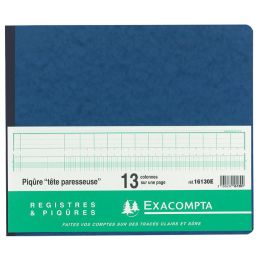 EXACOMPTA Geschftsbuch mit kopfleiste, 11 Spalten je Seite