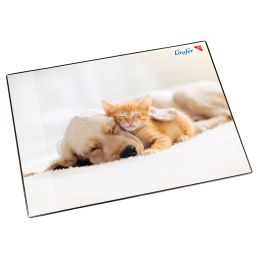 Lufer Schreibunterlage Hund und Katze, 400 x 530 mm