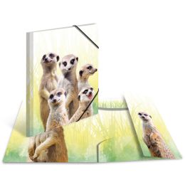 HERMA Eckspannermappe Exotische Tiere, A4, Erdmnnchentruppe