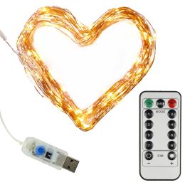 Clauss LED-Mini-Lichterkette, USB-Anschluss & Fernbedienung