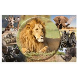 HERMA Schreibunterlage Afrika Tiere, (B)550 x (H)350 mm