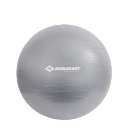 SCHILDKRT Gymnastikball, Durchmesser: 550 mm, silber