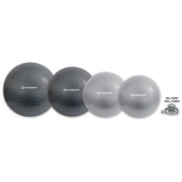 SCHILDKRT Gymnastikball, Durchmesser: 550 mm, silber