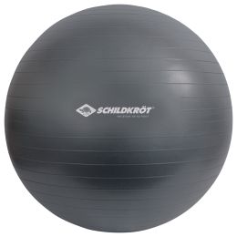 SCHILDKRT Gymnastikball, Durchmesser: 750 mm, anthrazit