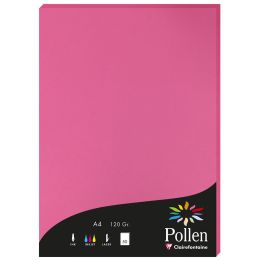 Pollen by Clairefontaine Papier DIN A4, elfenbein