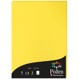 Pollen by Clairefontaine Papier DIN A4, sonne