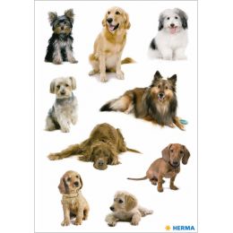 HERMA Sticker DECOR Hundefotos