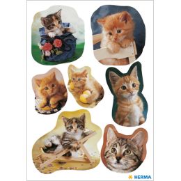 HERMA Sticker DECOR Katzenkinder