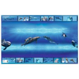 HERMA Schreibunterlage Delfin, (B)550 x (H)350 mm