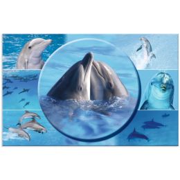 HERMA Schreibunterlage Delfin, (B)550 x (H)350 mm