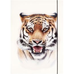 folia Zeichnungsmappe BASIC Roaring Tiger, Karton, DIN A3