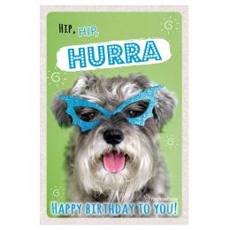 SUSY CARD Geburtstagskarte - Humor Brillenhund
