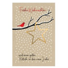 SUSY CARD Weihnachtskarte Xmas bird