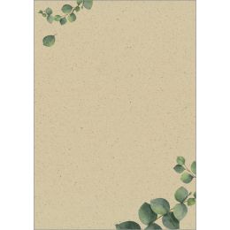 sigel Design-Papier Eucalyptus, DIN A4, 100 g/qm
