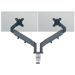 LEITZ Doppel-Monitorarm Ergo Dual, Armlnge: 453 mm,samtgrau