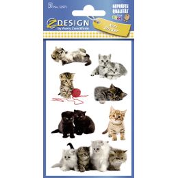 ZDesign KIDS Sticker Katzen-Babies, bunt