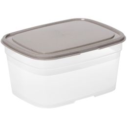 smartstore Frischhaltebox, 0,8 Liter, grau / transparent