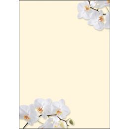 sigel Design-Papier, DIN A4, 90 g/qm, Motiv White Orchid