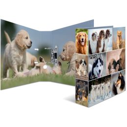 HERMA Motivordner Animals, DIN A4, Hunde
