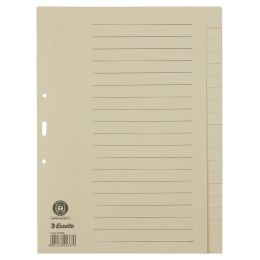 Esselte Tauenpapier-Register, blanko, A4, 20-teilig, chamois