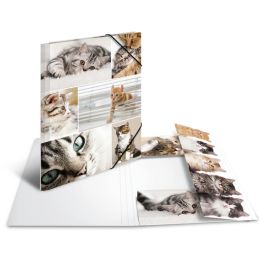 HERMA Eckspannermappe Katzen, aus Karton, DIN A4