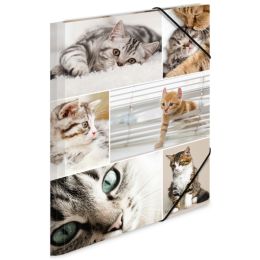 HERMA Eckspannermappe Katzen, aus Karton, DIN A4