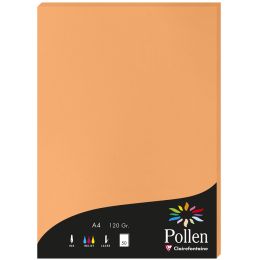 Pollen by Clairefontaine Papier DIN A4, schwarz